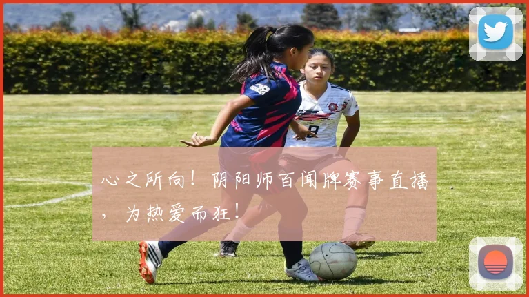 心之所向！阴阳师百闻牌赛事直播，为热爱而狂！