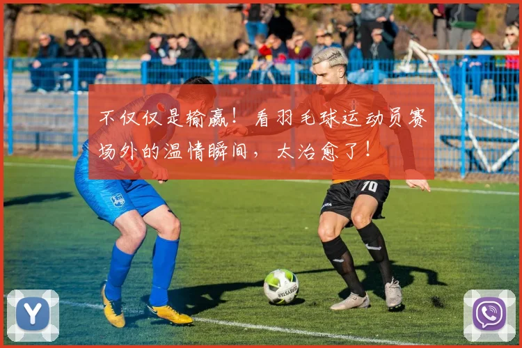 不仅仅是输赢!看羽毛球运动员赛场外的温情瞬间,太治愈了!