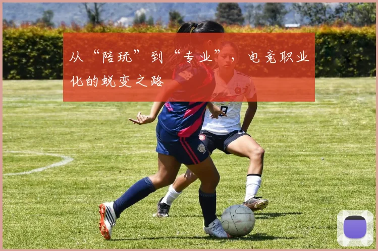 从“陪玩”到“专业”，电竞职业化的蜕变之路