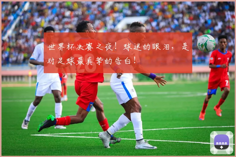 世界杯决赛之夜!球迷的眼泪,是对足球最真挚的告白!