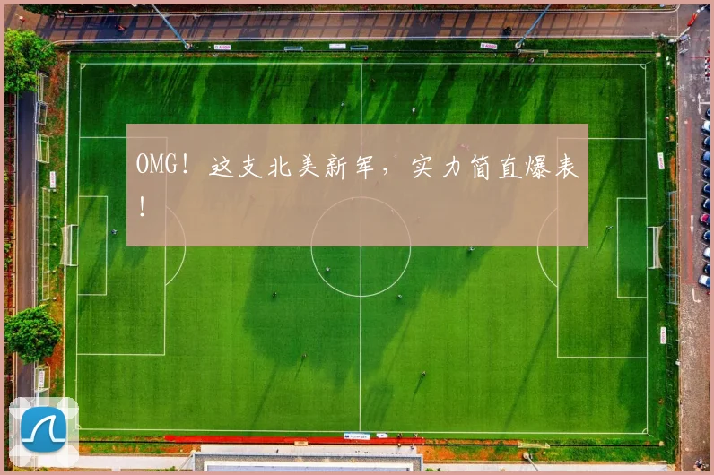 OMG!这支北美新军,实力简直爆表!